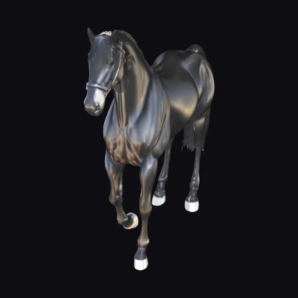 Shining Black Stallion