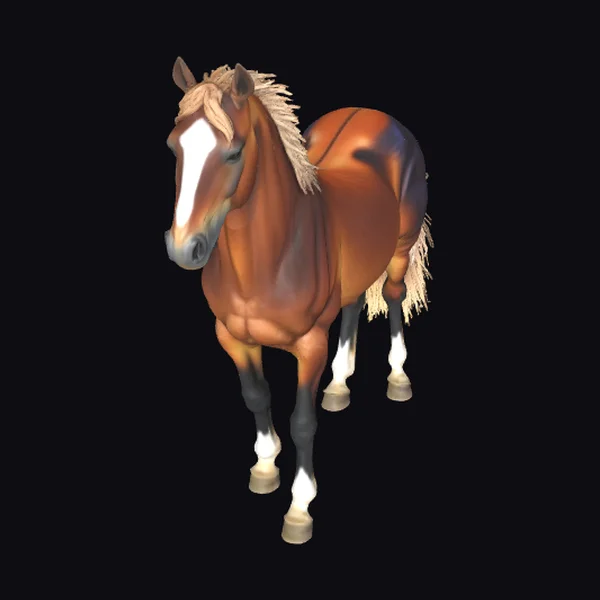 Majestic Brown Stallion