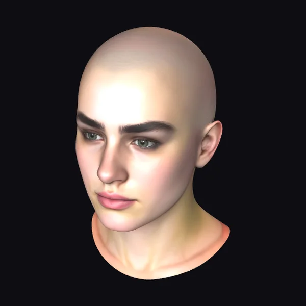 Bald Human Male Head