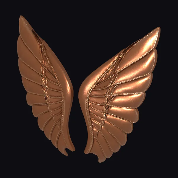 Copper Leather Wings