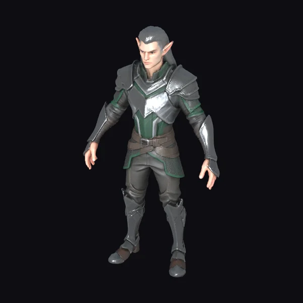 Elven Warrior in Armor