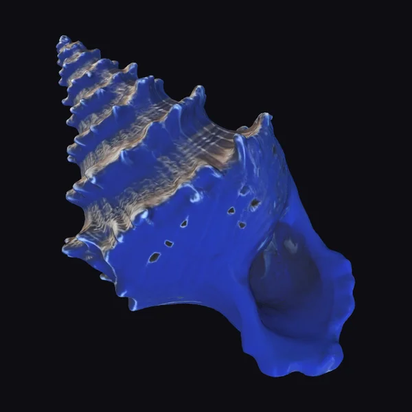 Vibrant Blue Conch Shell