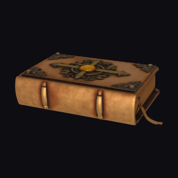 Ancient Leather Bound Tome