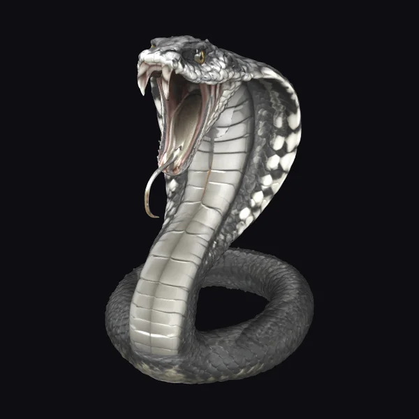 Cobra in Fierce Attack