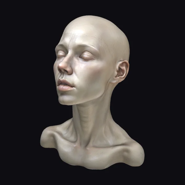 Bald Human Female Bust