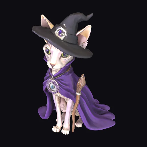 Hairless Cat Witch