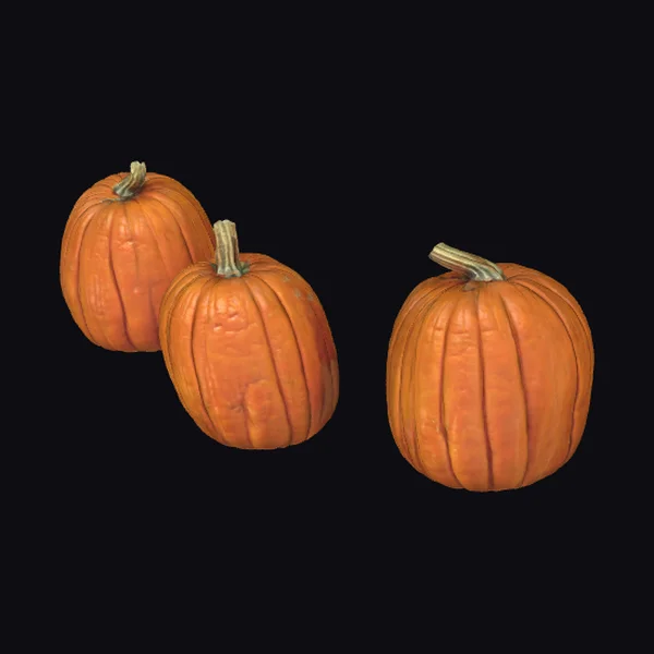 Three Pumpkins Patch