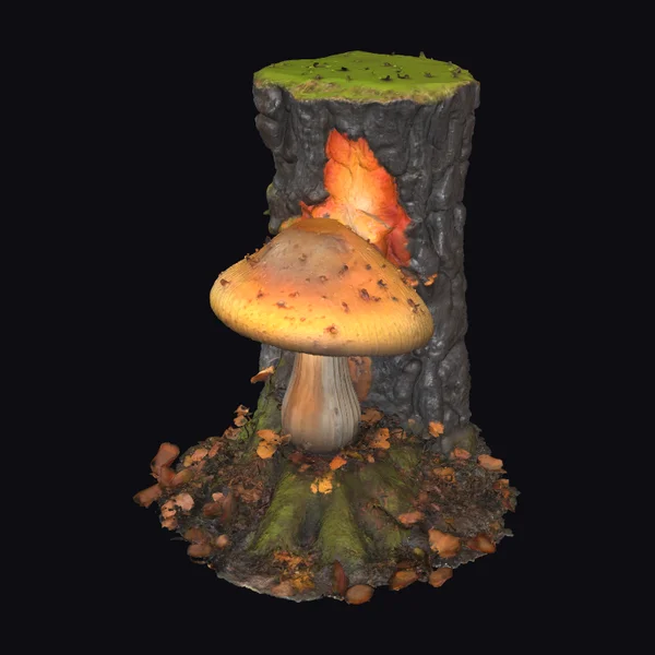 Glowing Fungi on Stump