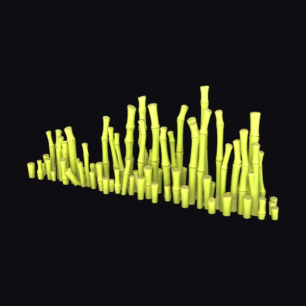 Bamboo Stems Cluster