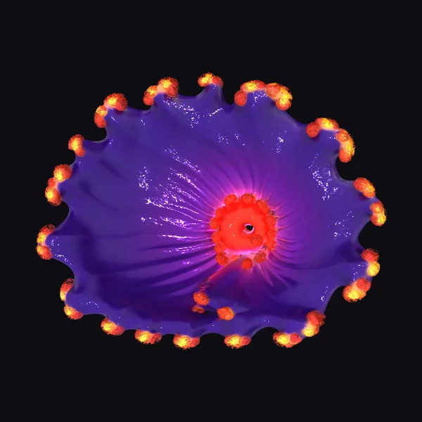 Vibrant Purple Flower Bloom