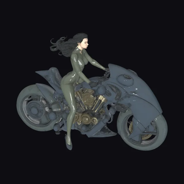 Biker Chick on Motorcycle