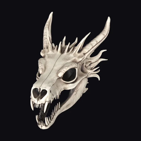 Dragon Skull with Horns