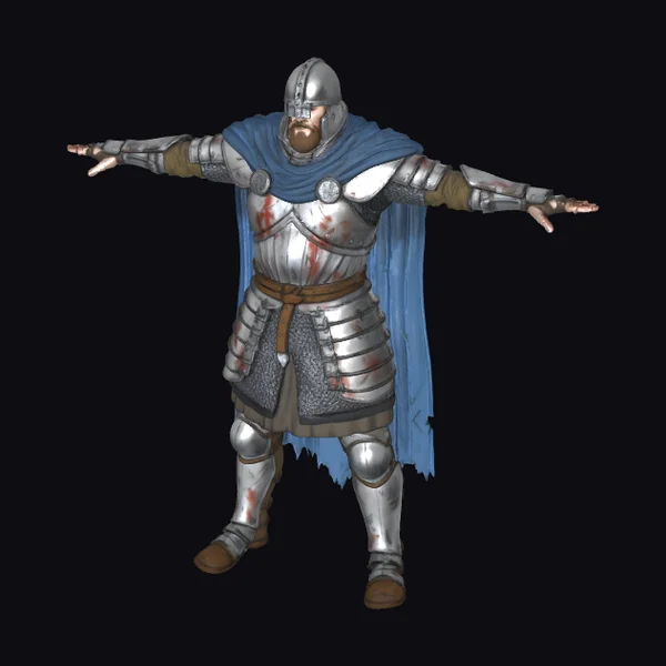 Medieval Warrior T-Pose