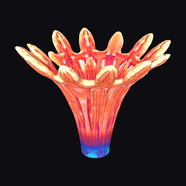 Vibrant Fan Coral Reef