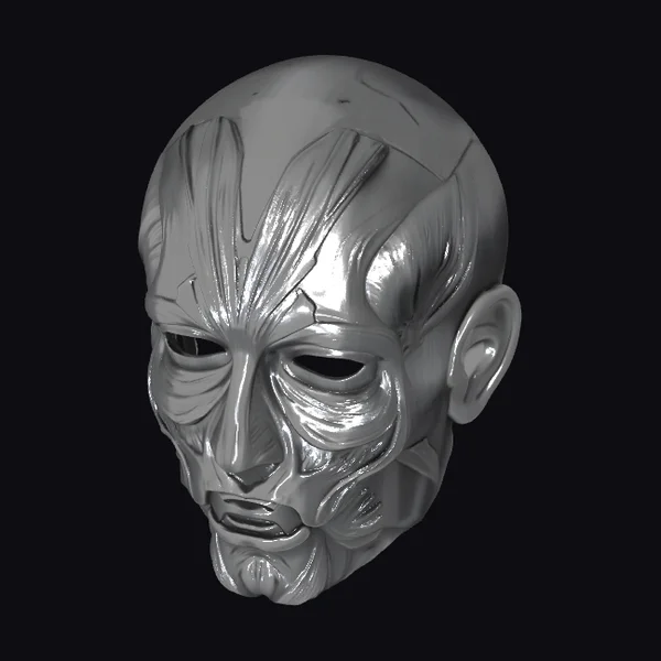 Gray Metallic Male Skull