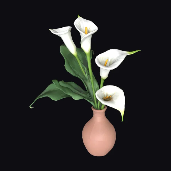 Calla Lilies in Vase