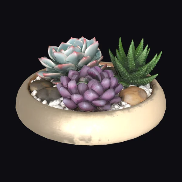 Succulent Garden Bowl