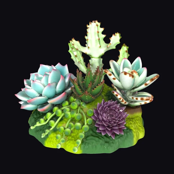 Succulent Garden Arrangement