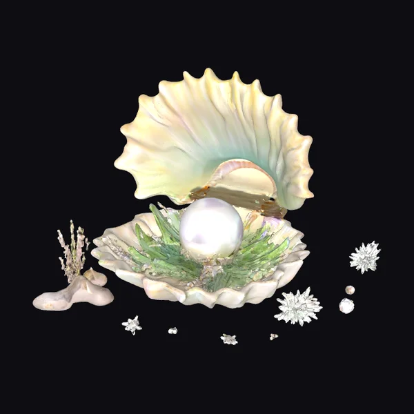 Opened Sea Clam Pearl