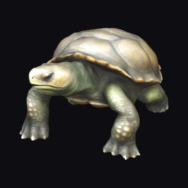 Turtle Humanoid Creature