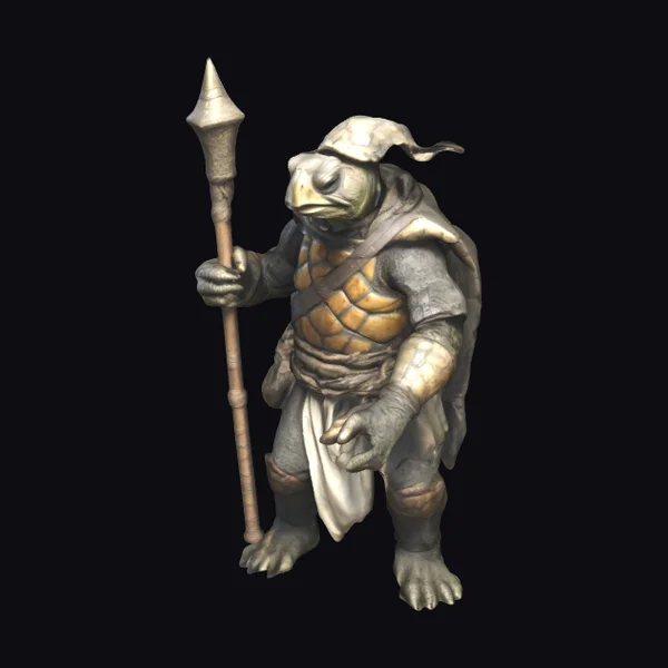 Wise Old Turtle Monk