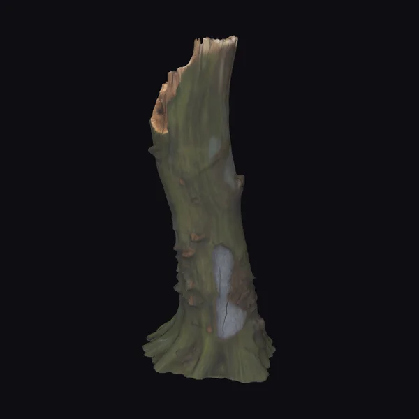 Mossy Tree Stump