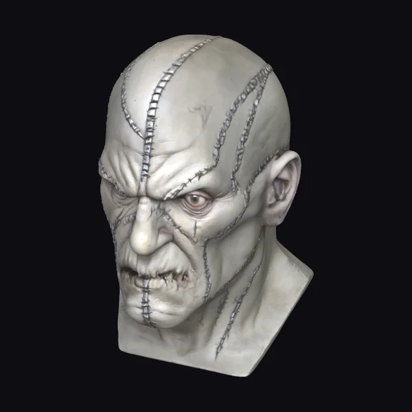 Stitched Human Head Bust