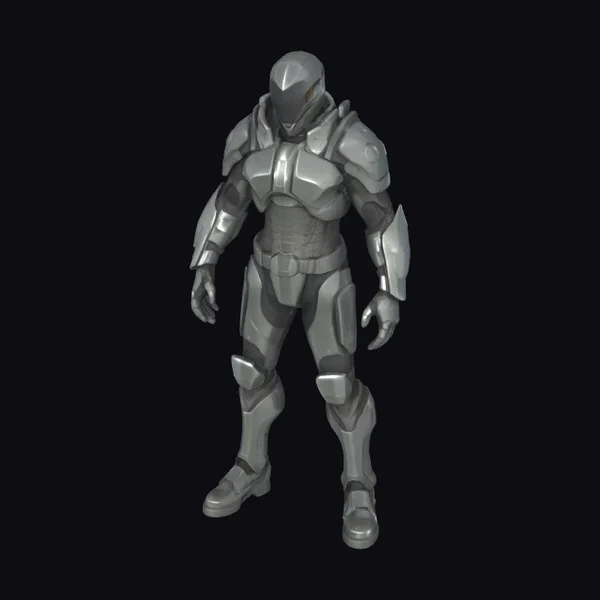 Gray Metallic Armor Suit