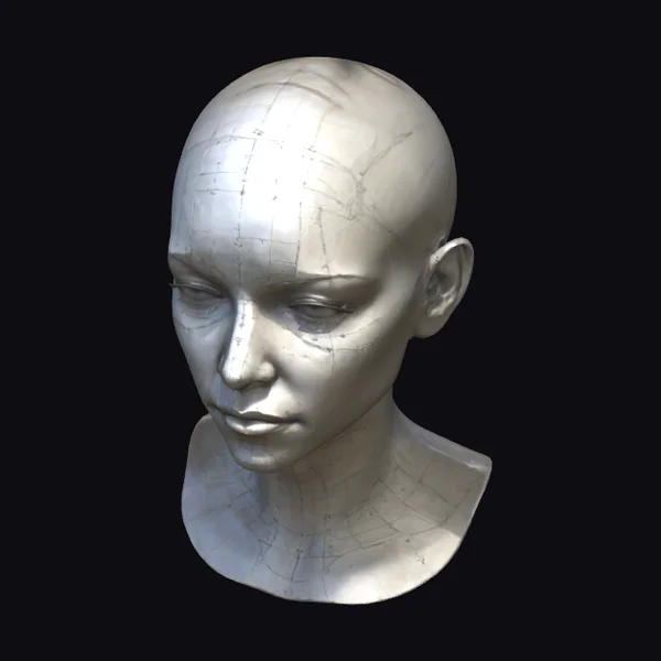 Exaggerated Female Head Bust