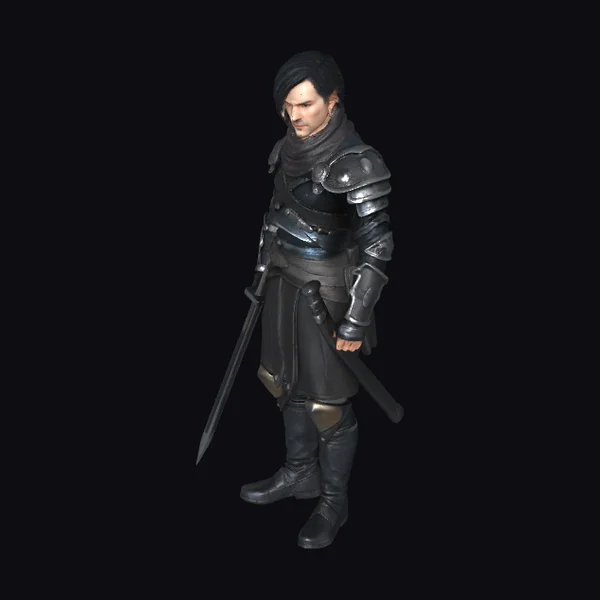 Dark Armored Warrior
