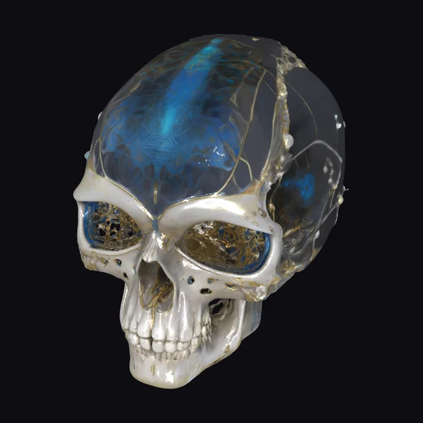 Cybernetic Skull