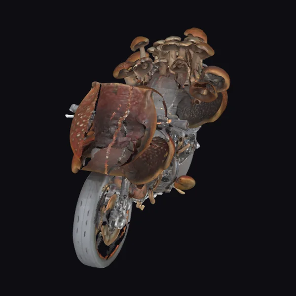 Mushroom Overgrown Motorcycle