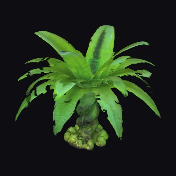 Alien Aquarium Plant