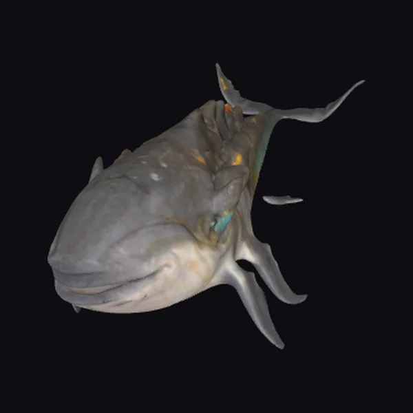 Alien Whale Creature