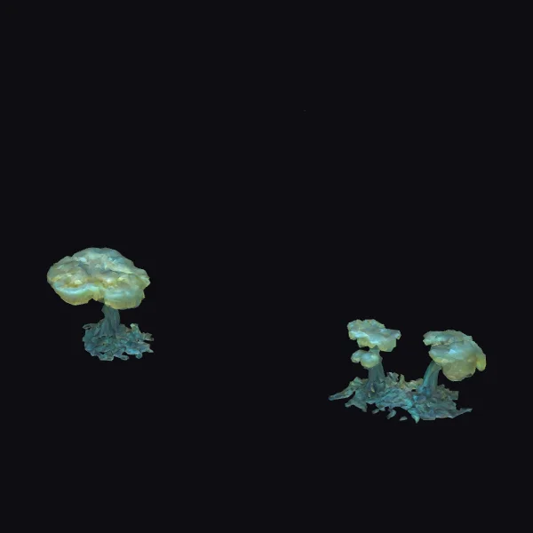 Glowing Fungal Growths