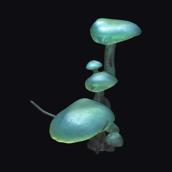 Glowing Fungal Growth