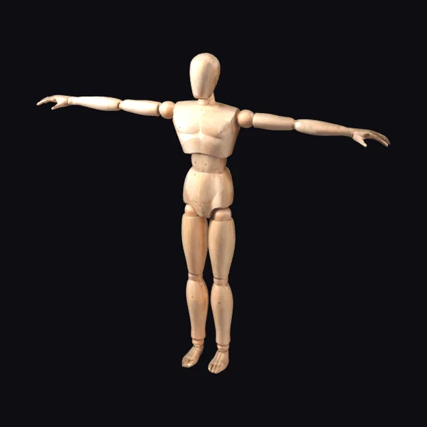 Wooden Art Mannequin