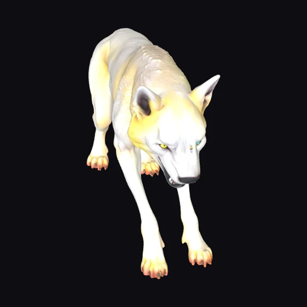 Albino Dire Wolf