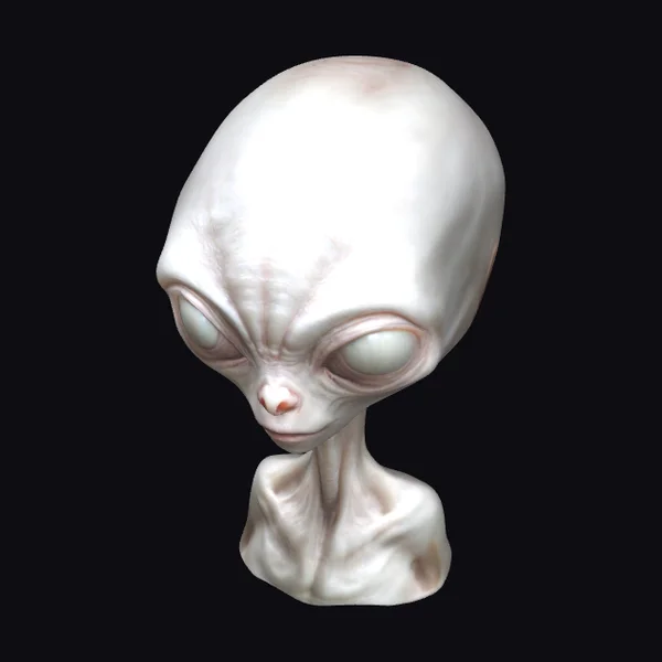 Alien Head Bust