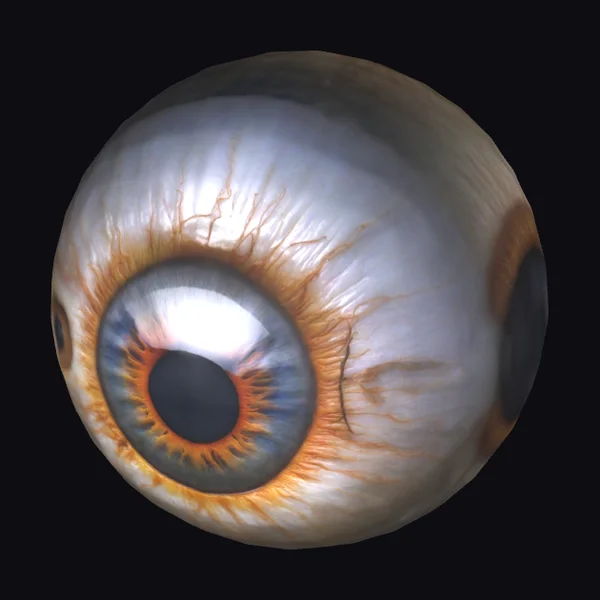 Detailed Human Eye