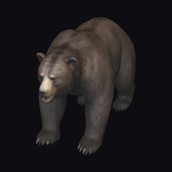 Large Brown Bear