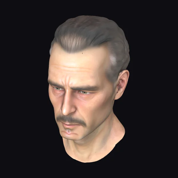 Male Head Bust