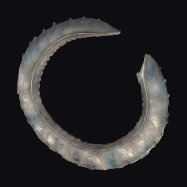 Ornate Silver Crescent