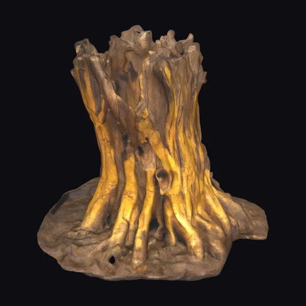 Ancient Tree Stump