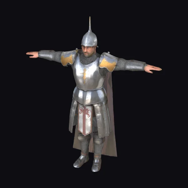 Medieval Knight in Armor