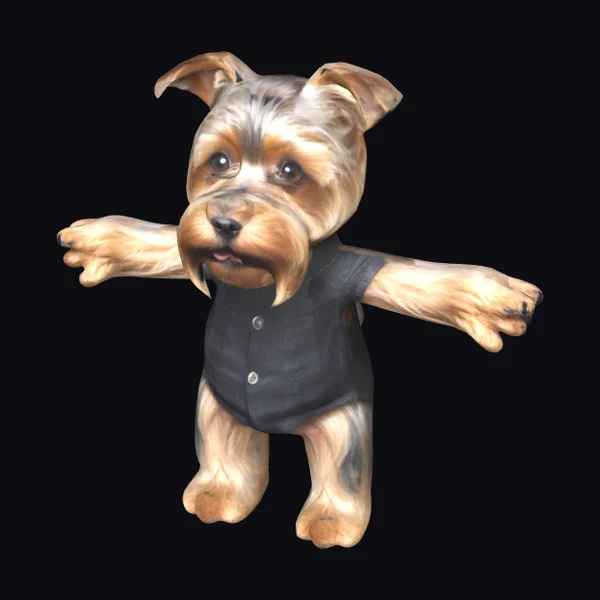 Cute Yorkshire Terrier