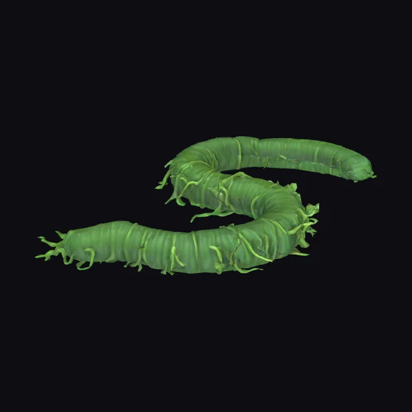 Green Vine Serpent