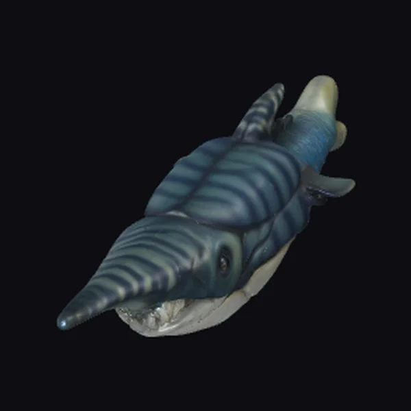 Ancient Sea Predator Pteraspis