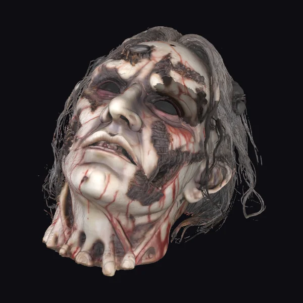 Zombie Head with Hair
