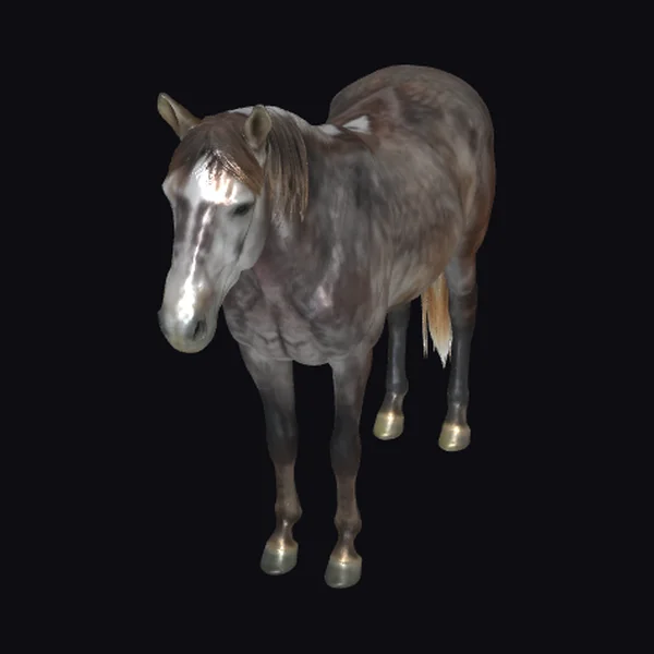 Brown Horse with Frosted Mane